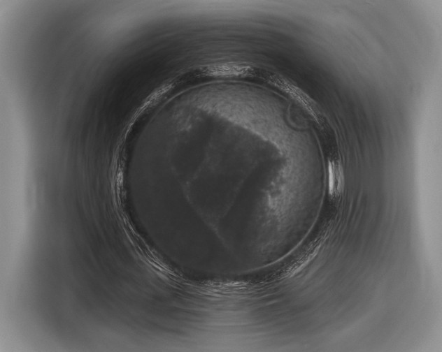 X0000116610723200912181205