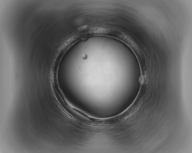 X0000116610725200912181205