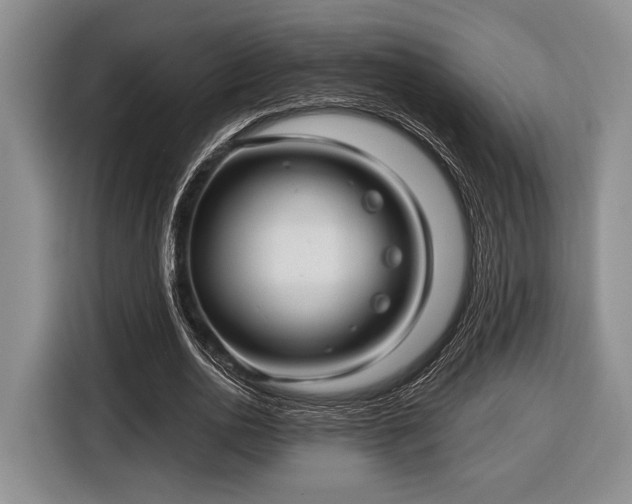 X0000116610726200912181206