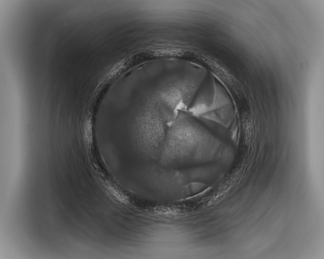 X0000116610729200912181206