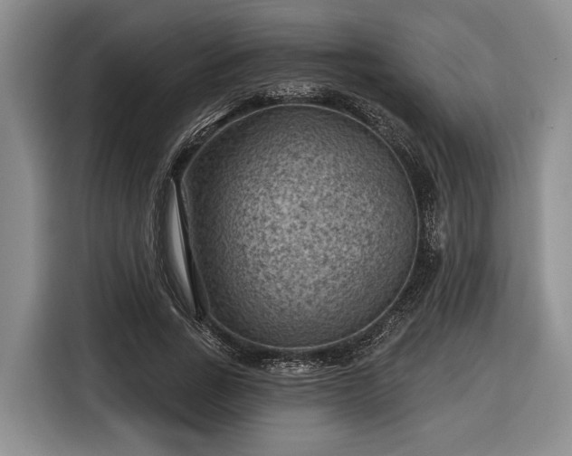 X0000116610735200912181206