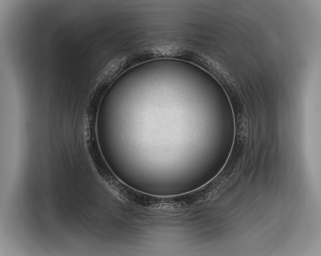 X0000116610738200912181206