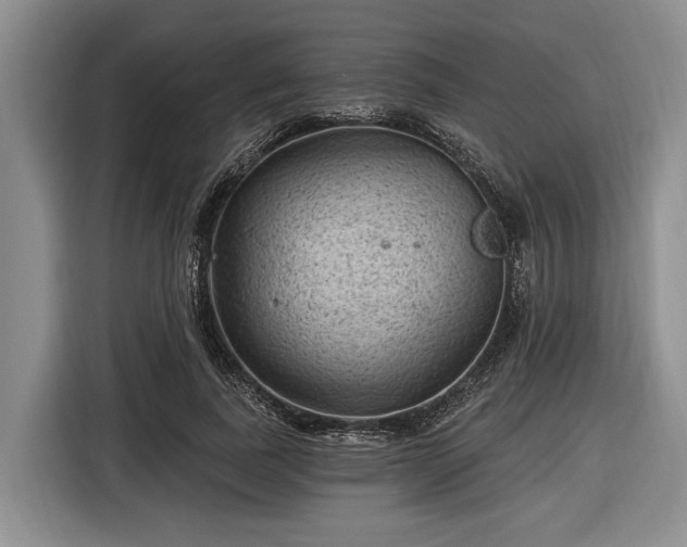 X0000116610739200912181206