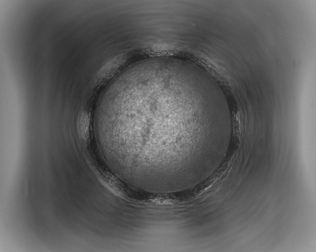 X0000116610742200912181206