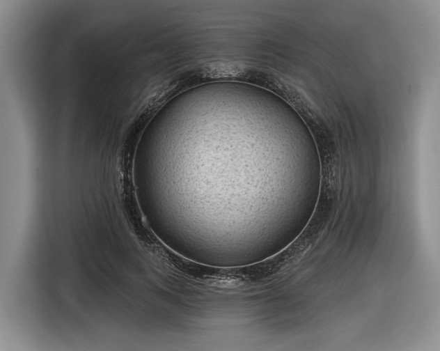 X0000116610743200912181206