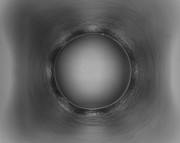 X0000116610746200912181206