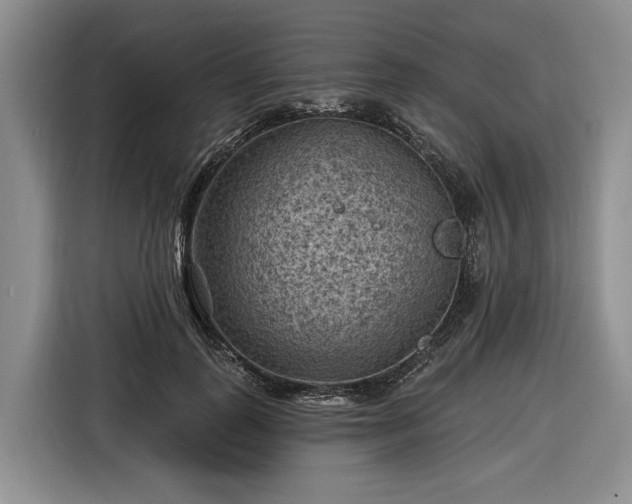 X0000116610747200912181206