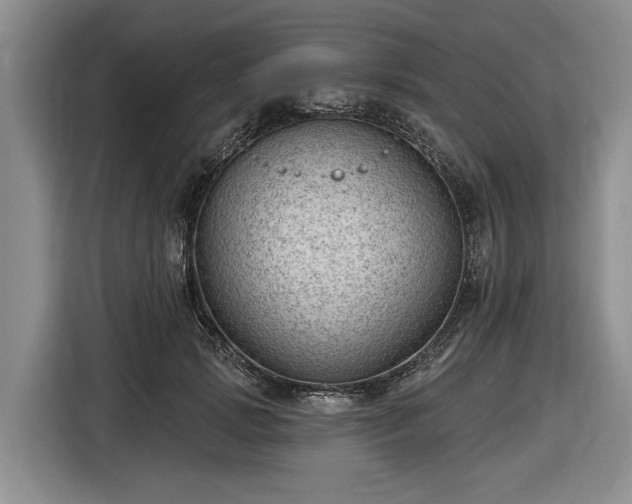 X0000116610749200912181206