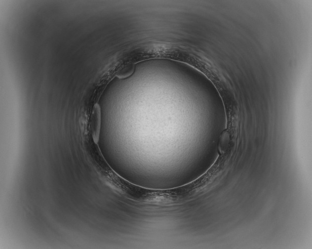 X0000116610750200912181206