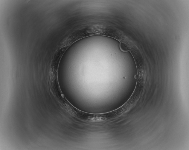 X0000116610751200912181206