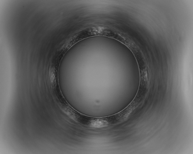 X0000116610754200912181206