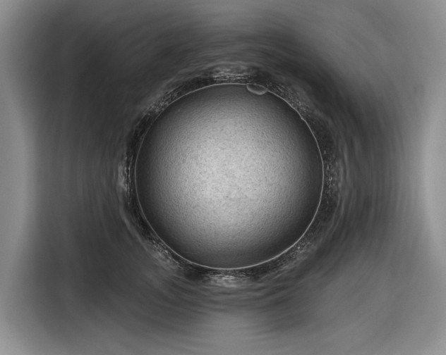 X0000116610755200912181206