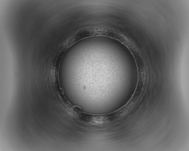 X0000116610757200912181206