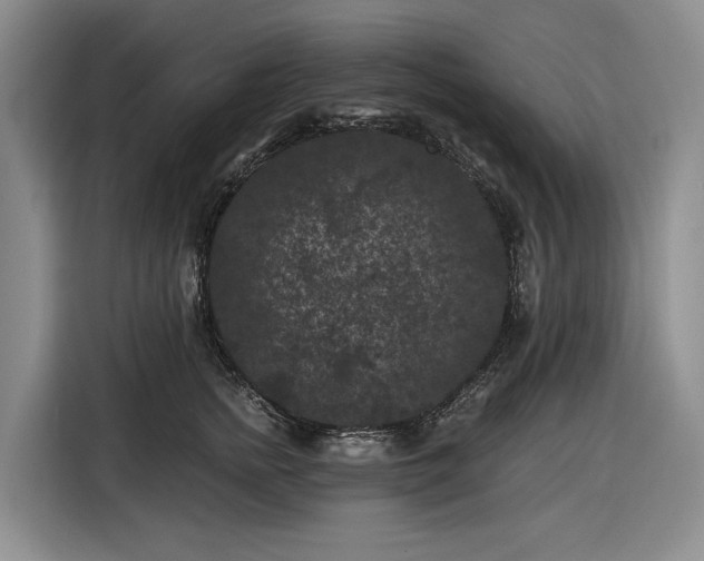 X0000116610758200912181206