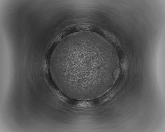 X0000116610759200912181206