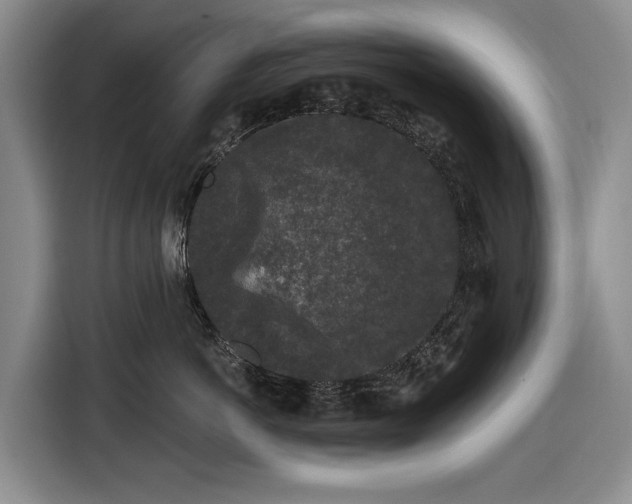 X0000116610766200912181206