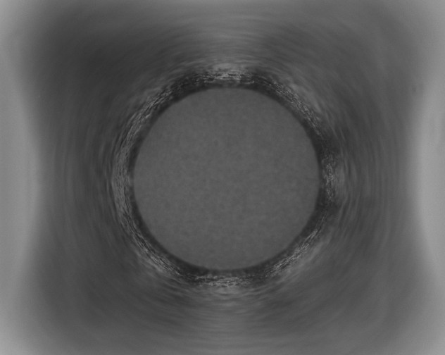 X0000116610769200912181205