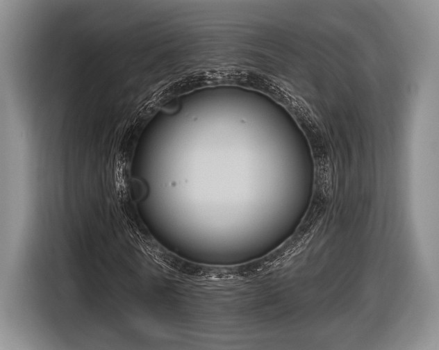 X0000116610770200912181205