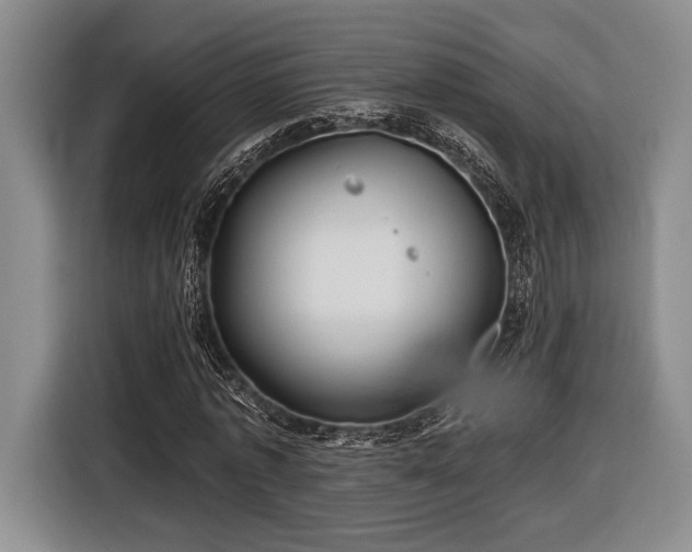 X0000116610773200912181205