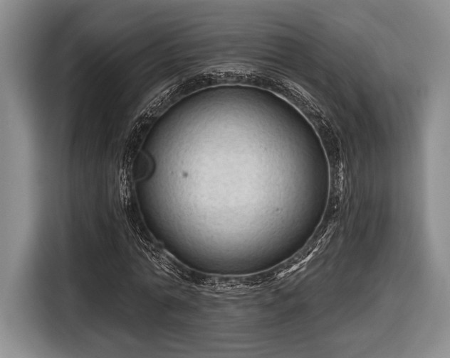 X0000116610774200912181205