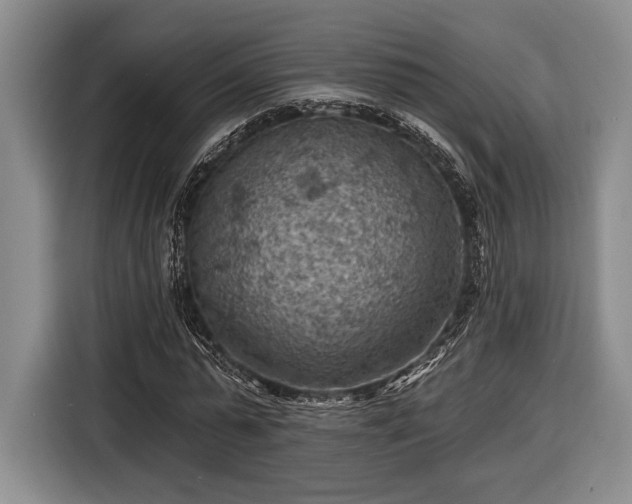 X0000116610775200912181205