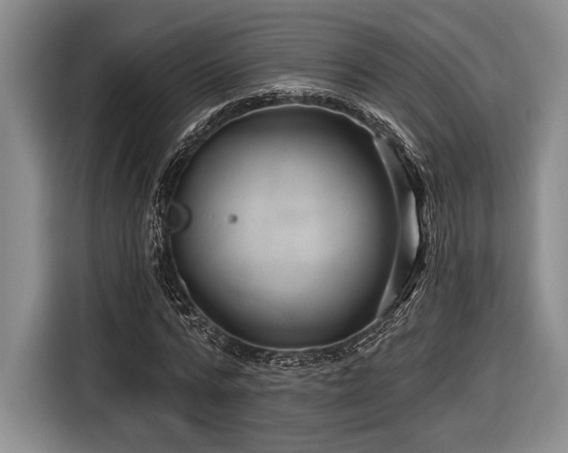 X0000116610776200912181205