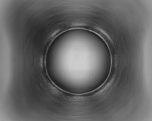 X0000116610777200912181205