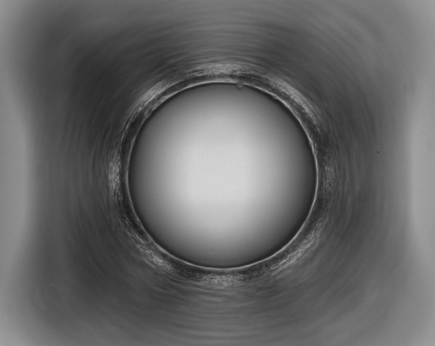 X0000116610778200912181205