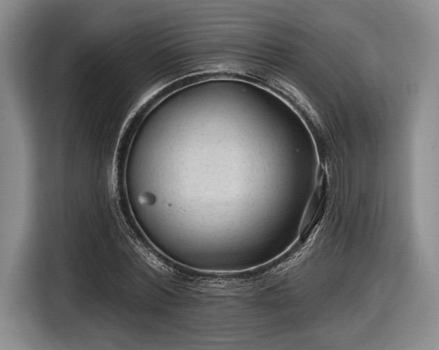 X0000116610780200912181205