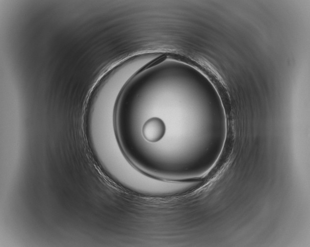 X0000116610781200912181205