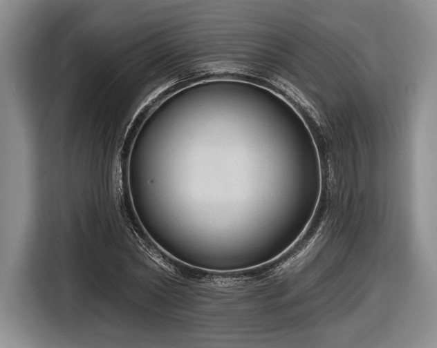 X0000116610782200912181205