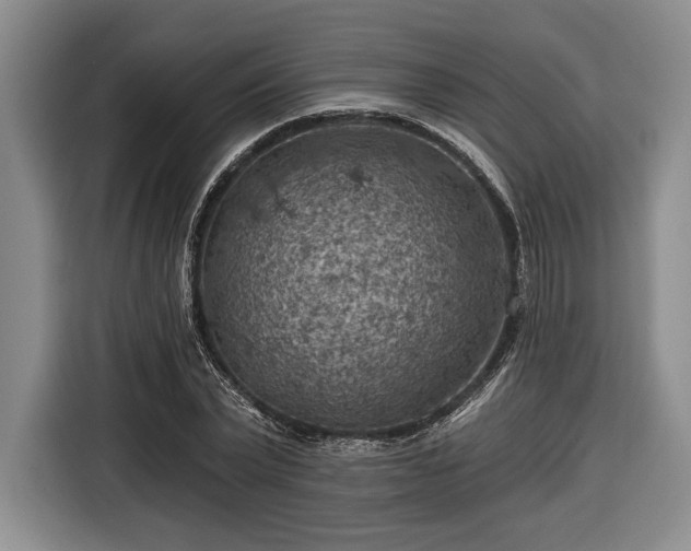 X0000116610783200912181205