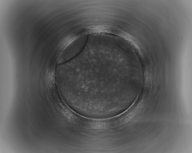 X0000116610785200912181205