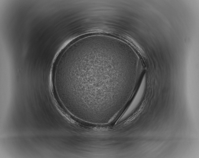 X0000116610788200912181205