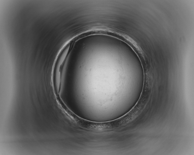 X0000116610791200912181205