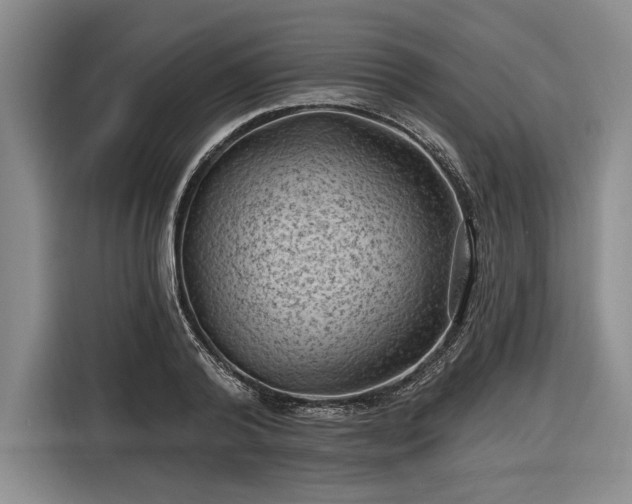 X0000116610792200912181205