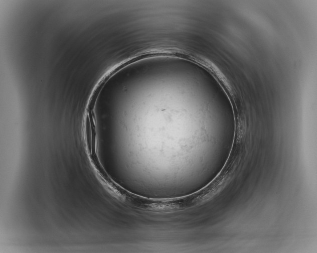 X0000116610795200912181205