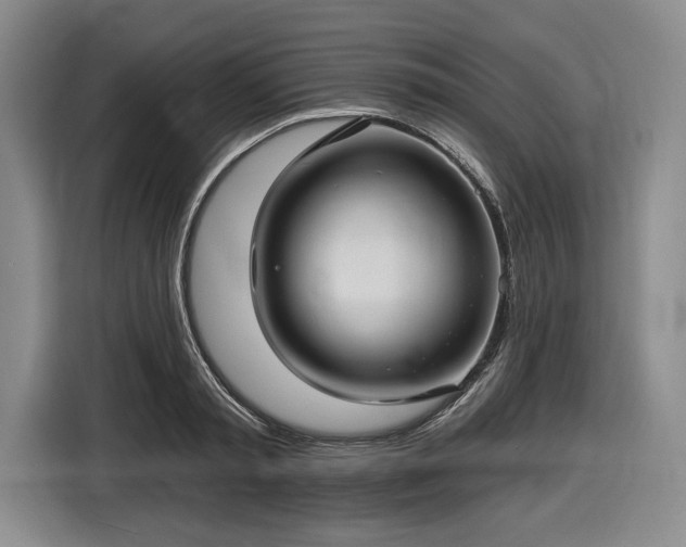 X0000116610797200912181205