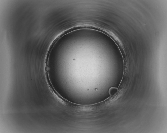 X0000116610799200912181205