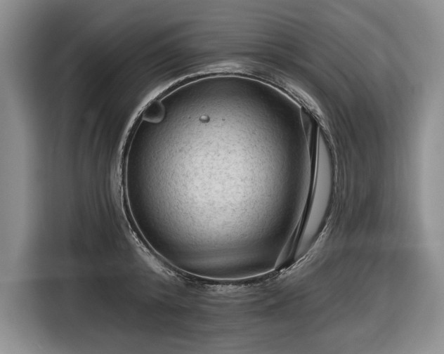 X0000116610800200912181205