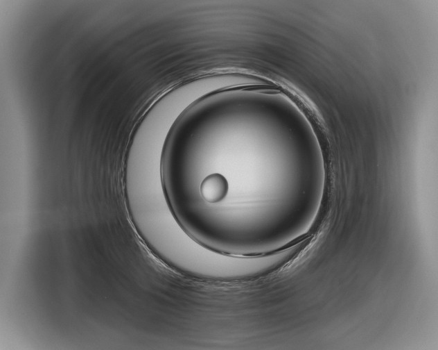 X0000116610801200912181205