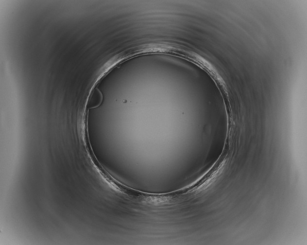 X0000116610802200912181205