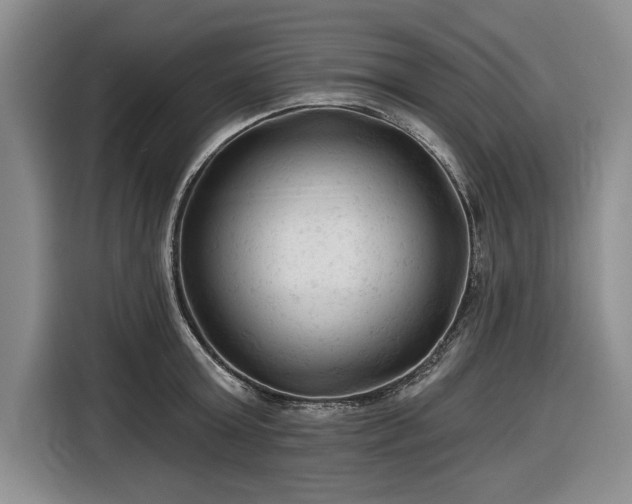 X0000116610803200912181205