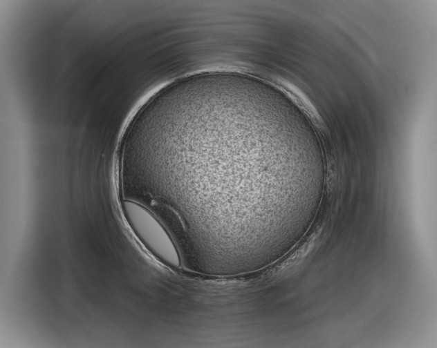 X0000116610804200912181205