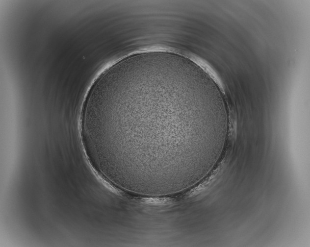 X0000116610805200912181205