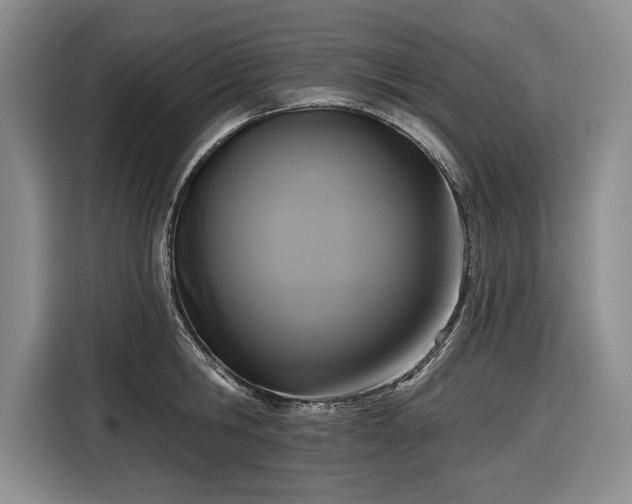 X0000116610806200912181205