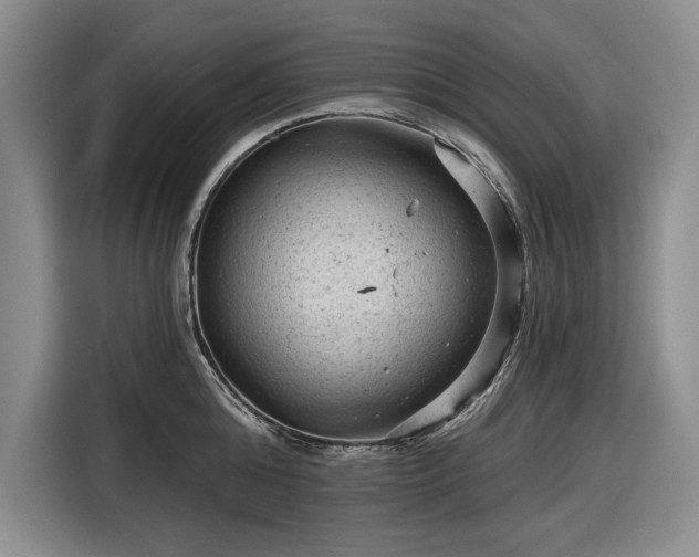 X0000116610808200912181205