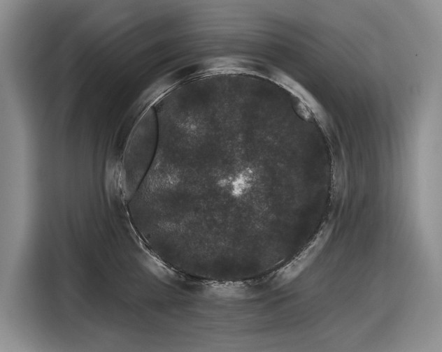 X0000116610809200912181205