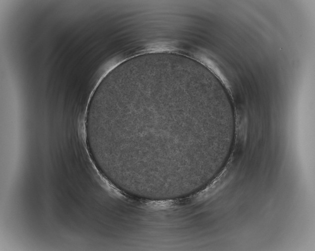 X0000116610810200912181205