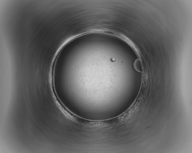 X0000116610811200912181205